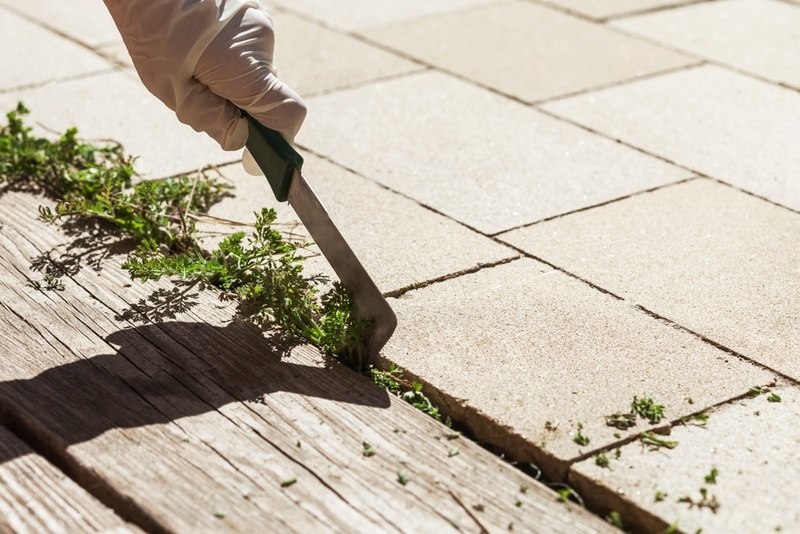 15 tuintips voor maart